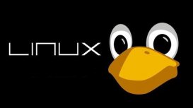 Linux 5.11 rc2 太小，Linux之父Linus：假期大家都忙著干飯