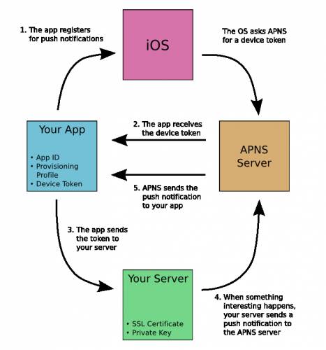iOS實現消息推送及原理分析