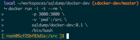 基于 Docker 開發 NodeJS 應用