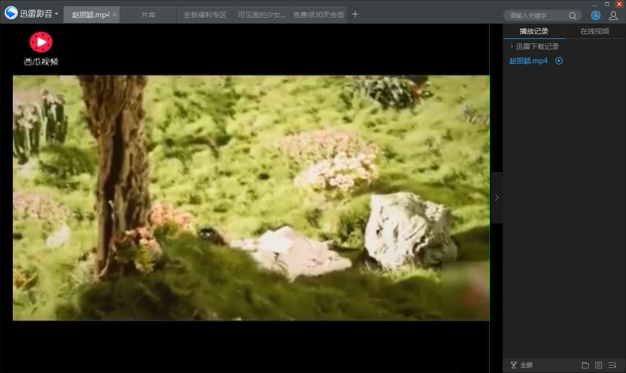 Python視頻爬蟲實現下載頭條視頻功能示例