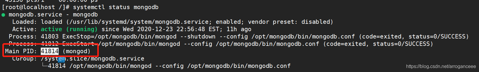 Mongodb 崩潰報錯 Too many open files的問題解析