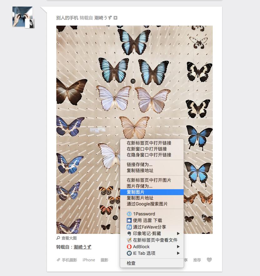使用python存儲網(wǎng)頁上的圖片實(shí)例