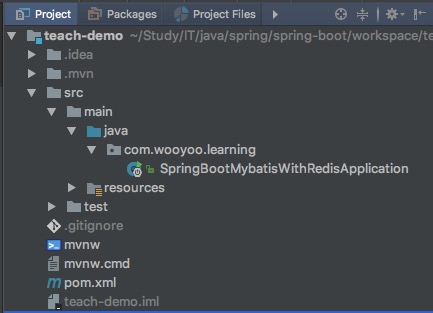 通過Spring Boot + Mybatis + Redis快速搭建現代化Web項目