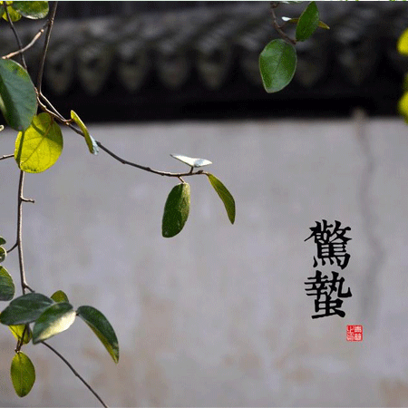 2021最新二十四節氣驚蟄朋友圈圖片 春風輕送又是驚蟄春意濃