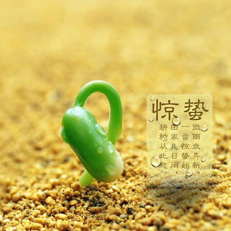 2021最新二十四節氣驚蟄朋友圈圖片 春風輕送又是驚蟄春意濃