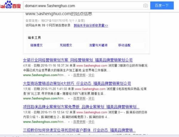 案例解析內頁快速收錄并有排名