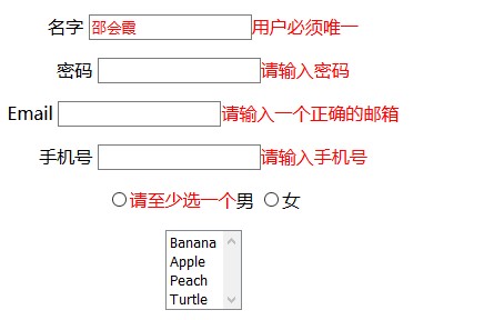 Yii框架中jquery表單驗證插件用法示例