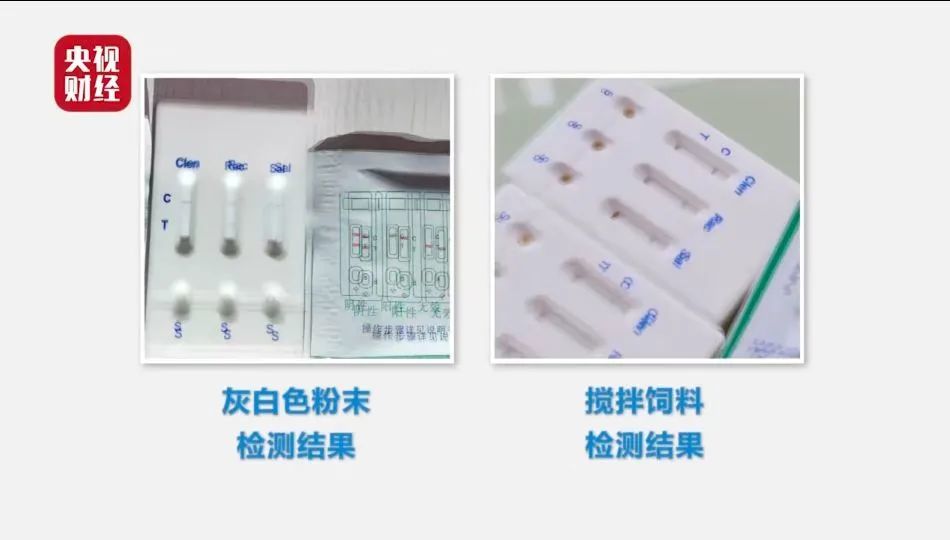 315晚會曝光問題有哪些？315晚會曝光名單完整版