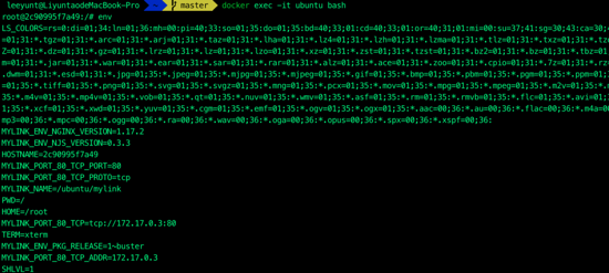Docker數(shù)據(jù)卷和容器編排的使用