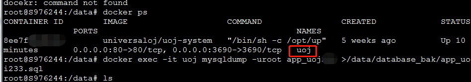 docker 使用mysqldump命令備份導出項目中的mysql數據