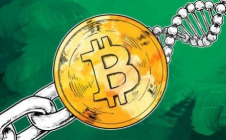 庫幣網交易平臺怎么樣 庫幣交易平臺靠譜嗎