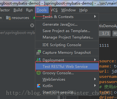 Spring boot Mybatis 整合（完整版）