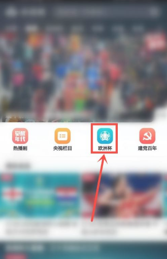 央視頻歐洲杯可以看回放嗎 央視頻歐洲杯怎么看回放