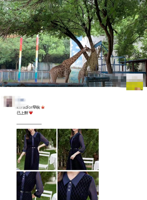 微信pc版朋友圈在哪里打開？微信電腦版朋友圈怎么看2021？