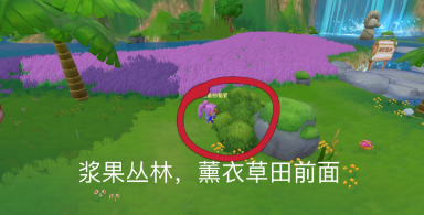摩爾莊園手游神秘禮物在哪里 摩爾莊園手游神秘禮物位置攻略