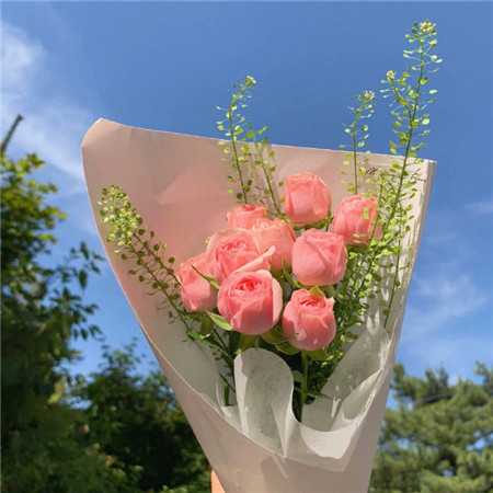 很甜美很可愛的朋友圈背景素材 秋有三五言我有幾朵浪漫