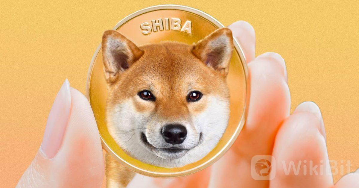 為何說柴犬幣超越狗狗幣會對比特幣不利？