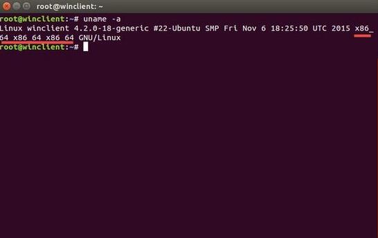 Linux系統架構類型的5條常用查看命令