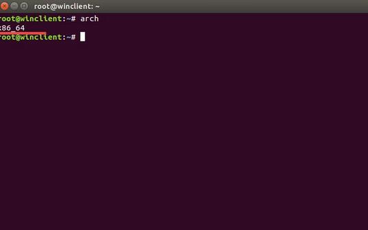 Linux系統架構類型的5條常用查看命令