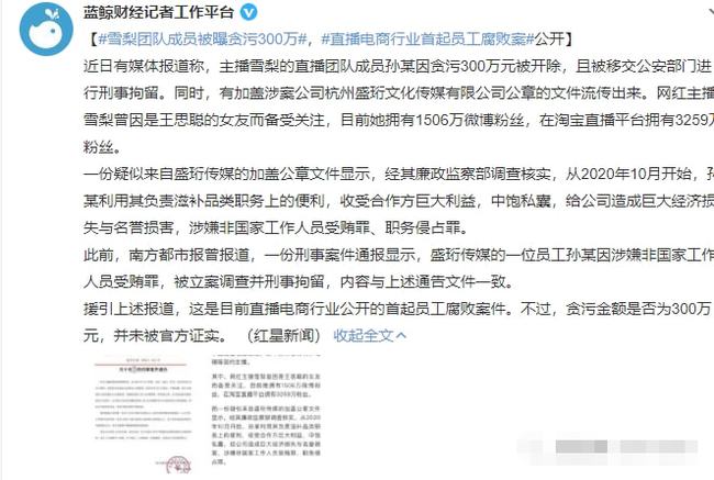 雪梨團隊成員被曝貪污300萬 電商行業第一起員工腐敗案件