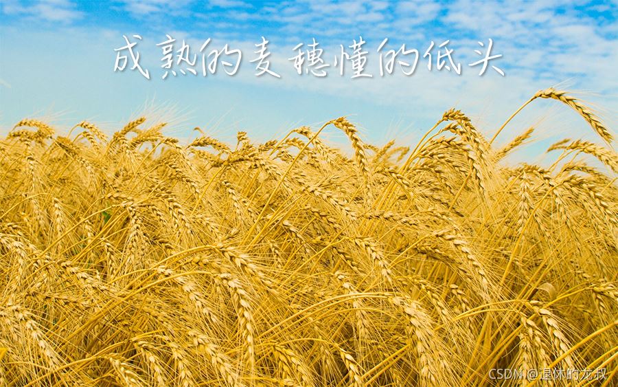 Python正則表達(dá)式保姆式教學(xué)詳細(xì)教程