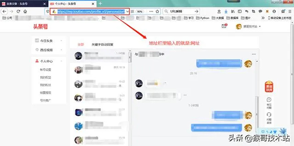 一文看懂：網址，URL，域名，IP地址，DNS，域名解析
