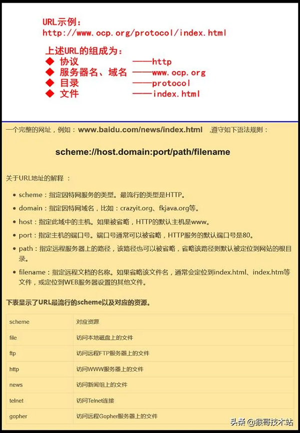一文看懂：網址，URL，域名，IP地址，DNS，域名解析