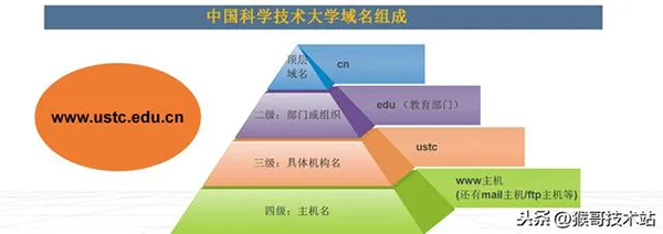 一文看懂：網址，URL，域名，IP地址，DNS，域名解析