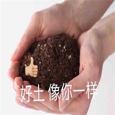 很拽的生氣超級表情 吵架必備聊天表情大全