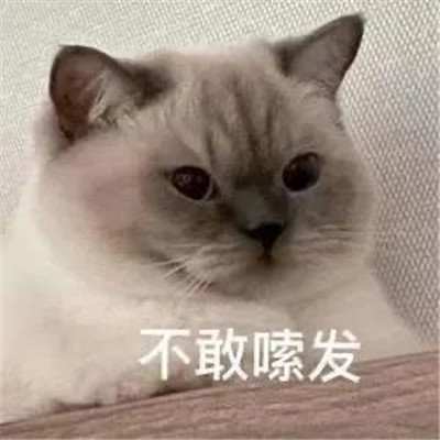 心情不好很生氣的聊天表情 中國第一暴躁
