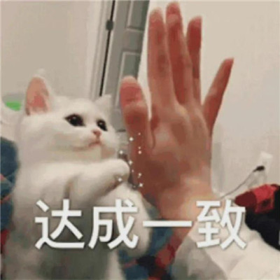 心情不好很生氣的聊天表情 中國第一暴躁