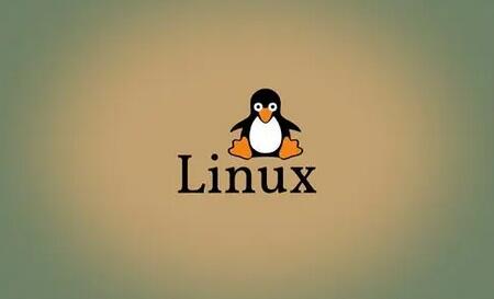 Rust for Linux 新進展：添加對 Rust 作為第二語言的支持