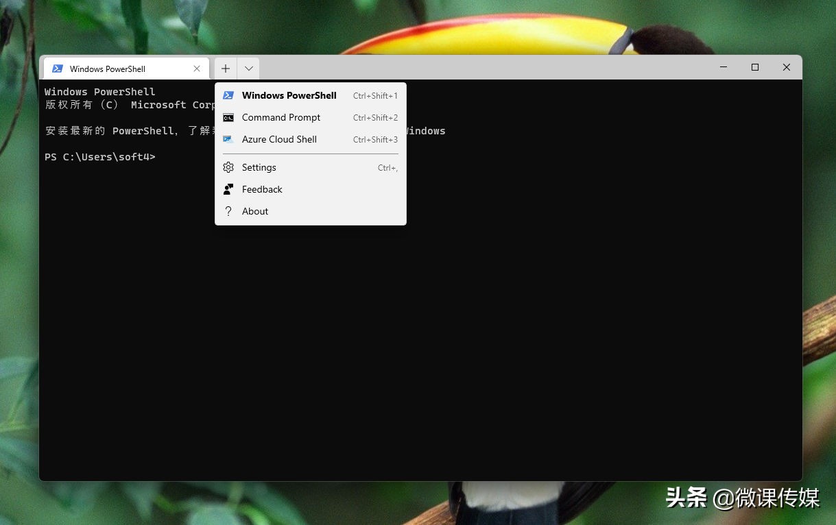 Windows 11內置遠程桌面連接工具的六種方法打開 Windows 11內置遠程桌面連接工具的六種方法打開