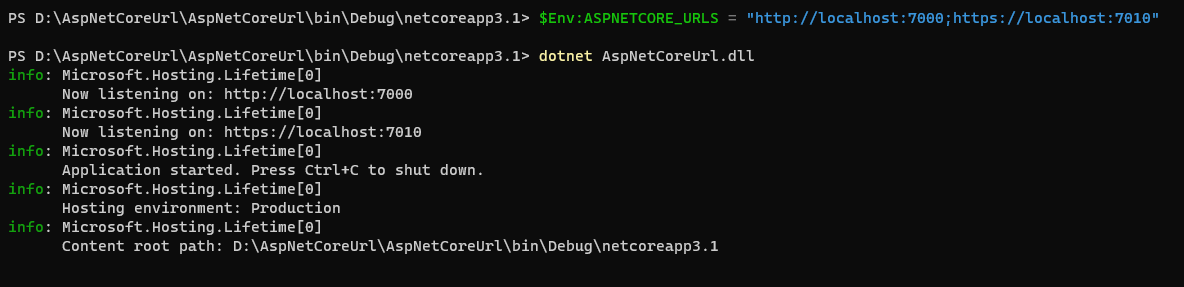 ASP.NET Core設置URLs的五種方法