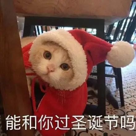 2021微信頭像圣誕帽子怎么弄？微信頭像加圣誕帽方法
