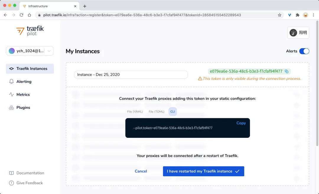自定義 Traefik（本地）插件