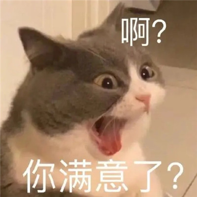 2022全新吵架專用聊天表情合集 你爸爸我絕不認(rèn)輸