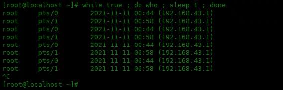 Linux 系統中 Sleep 和 Wait 命令的使用方式
