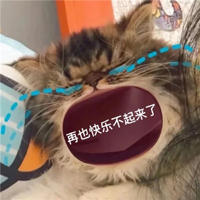 鬧脾氣專用表情包合集 再也快樂不起來了