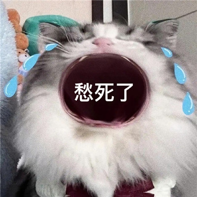 鬧脾氣專用表情包合集 再也快樂不起來了