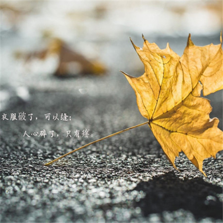一個人寒了心的圖片帶字 衣服破了可以縫心碎了只有疼