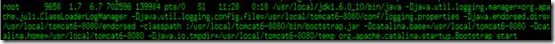 詳解Linux查看程序端口占用情況