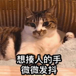 Python:一行代碼,導(dǎo)入Python所有庫