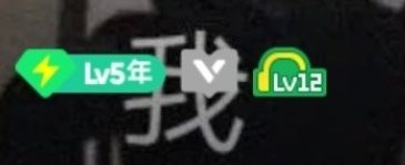 qq音樂(lè)12級(jí)是什么意思？qq音樂(lè)12級(jí)是多少分鐘？要聽多少歌？