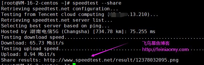 linux服務(wù)器測試網(wǎng)速的方法