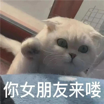 超級有趣的撒嬌賣萌的表情最新 很萌很有趣的實用表情