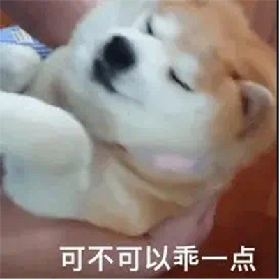 超級有趣的撒嬌賣萌的表情最新 很萌很有趣的實用表情