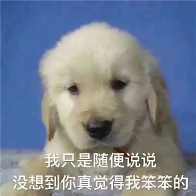 超級有趣的撒嬌賣萌的表情最新 很萌很有趣的實用表情