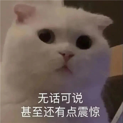 超級有趣的撒嬌賣萌的表情最新 很萌很有趣的實用表情
