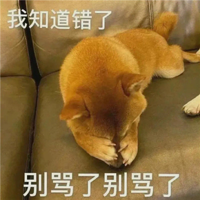 超級有趣的撒嬌賣萌的表情最新 很萌很有趣的實用表情